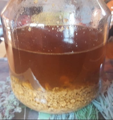 Gehackte Walnüsse mit Rum angesetzt (nach etwa 4 Wochen)