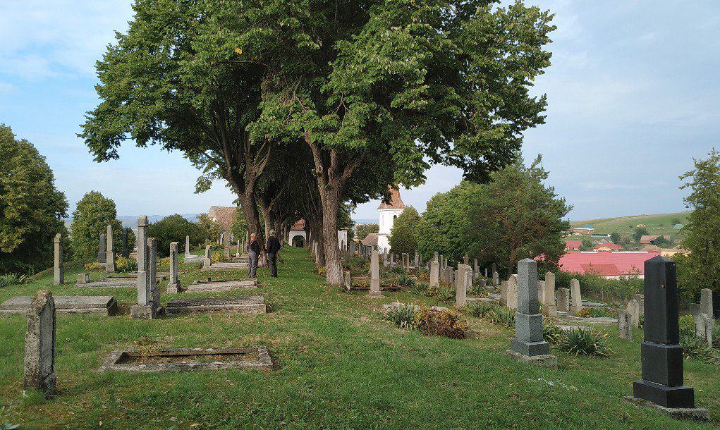 Der Friedhof in Șona (dt. Schönau)