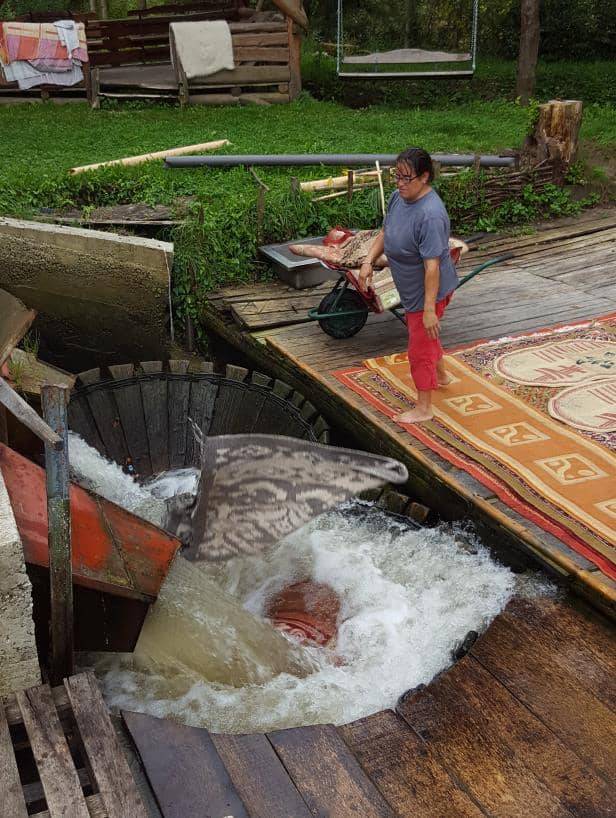 Die Teppichwaschmaschine in den Maramureș